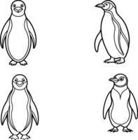 ilustración de pingüino aislado en blanco antecedentes. para niños colorante libro. vector