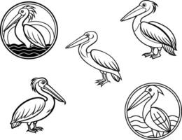 line art of a pelican vector