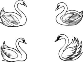 illustration of swan isolated on white background. For kids coloring book. vector
