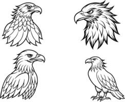 Eagle, Line , sign and symbol, illustration. vector