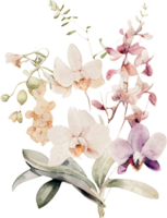 acquerello orchidea fiore illustrazione png