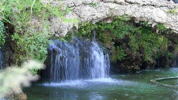 vattenfall i en naturlig parkera video