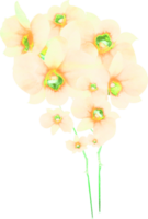 akvarell blomma illustration png