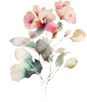 Watercolor Orchid Flower Illustration png