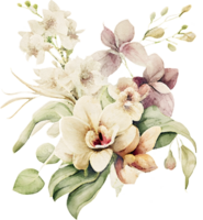 Watercolor Orchid Flower Illustration png