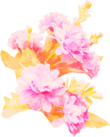 ilustração de flores em aquarela png