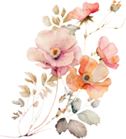 acuarela orquídea flor ilustración png