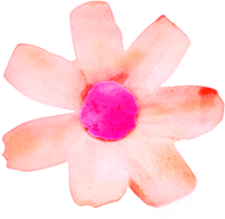 Ilustración de flor de acuarela png