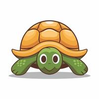 illustration of a smiling cartoon turtle white background vector