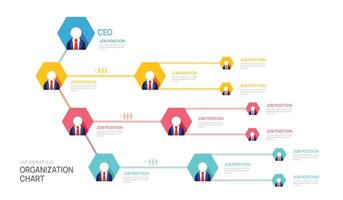 Infographic template for organization chart with business avatar icons. infographic for business. vector