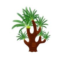 Cartoon jungle rainforest tree, tropical plant vector