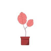 beautiful plant with soft color for your nature design. plant illustration with flat style vector