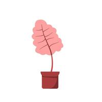 potted beautiful plant for your nature design. plant illustration with flat style vector