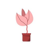 plant decoration for your nature design. plant illustration with flat style vector