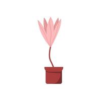 potted beautiful plant for your nature design. plant illustration with flat style vector