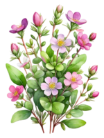 hermosa ramos de flores y flores con transparente y alta calidad antecedentes png