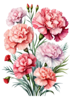 bellissimo mazzi di fiori e fiori con trasparente e alta qualità sfondi png
