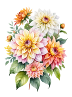 Natural beauty of dahlia flower on transparent background png