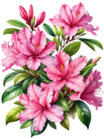 The natural beauty of azalea flowers on a transparent background png