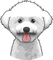 bichón frise cara ilustración vector