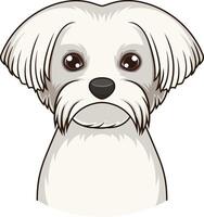 Maltese dog face illustration vector