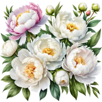 magnifique bouquets et fleurs avec transparent et haute qualité arrière-plans png
