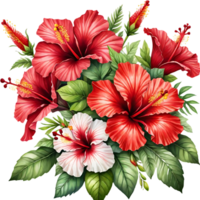 Natural beauty of hibiscus flower on transparent background png