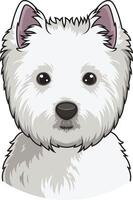 West highland white terrier face illustration vector