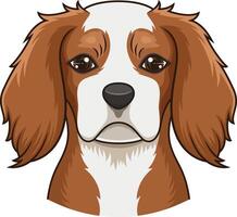 caballero Rey Charles spaniel cara ilustración vector