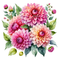 naturlig skönhet av dahlia blomma på transparent bakgrund png