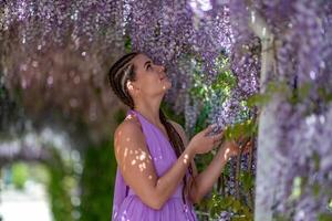 Woman wisteria lilac dress. Thoughtful happy mature woman in purple dress surrounded by chinese wisteria photo