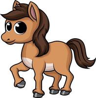 Cute baby horse illustration vector