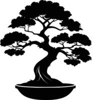 A black silhouette of a bonsai tree vector