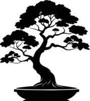 un negro silueta de un bonsai árbol vector