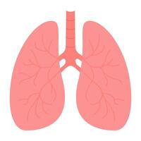 Healthy lungs not damaged by smoking vector