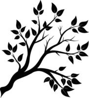 A tree branch silhouette with black leaf vector