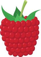 illustration of a funny raspberry in cartoon style. vector