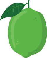 illustration of a funny lime in cartoon style. vector