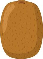 illustration of a funny kiwi in cartoon style. vector