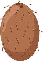 illustration of a funny coconut in cartoon style. vector