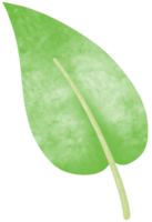 einfach botanisch Aquarelle einstellen png