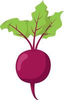 illustration of a funny beet in cartoon style. vector