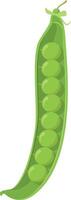 illustration of a funny green peas in cartoon style. vector