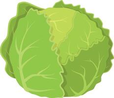 illustration of a funny lettuce in cartoon style. vector