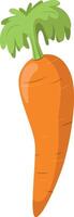 illustration of a funny carrot in cartoon style. vector