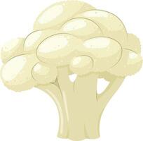 ilustración de un gracioso coliflor en dibujos animados estilo. vector