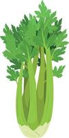 illustration of a funny celery in cartoon style. vector