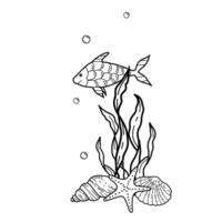 Underwater Marine composition of cute fish, Seaweeds and Starfish, Seashells. Hand drawn isolated illustration. Graphic summer Sea Sketch. vector