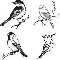 black and white drawing of birds outline vector