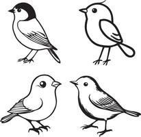 black and white drawing of birds outline vector